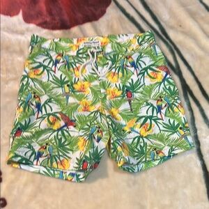 Tropical Parrot Print Shorts